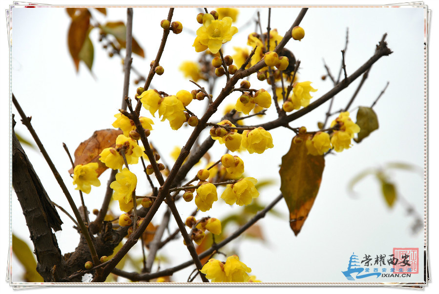 DSC_5227_meitu_33.jpg