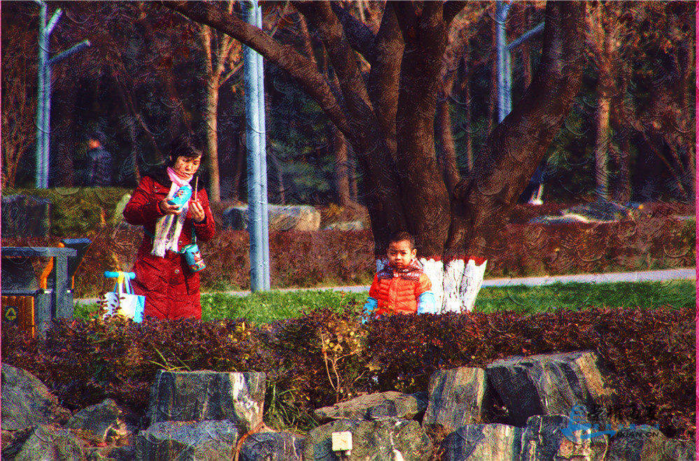 DSC_0012_副本_副本.jpg