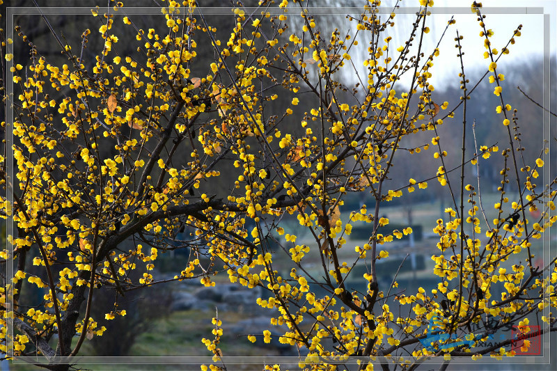 DSC_5426_meitu_23.jpg