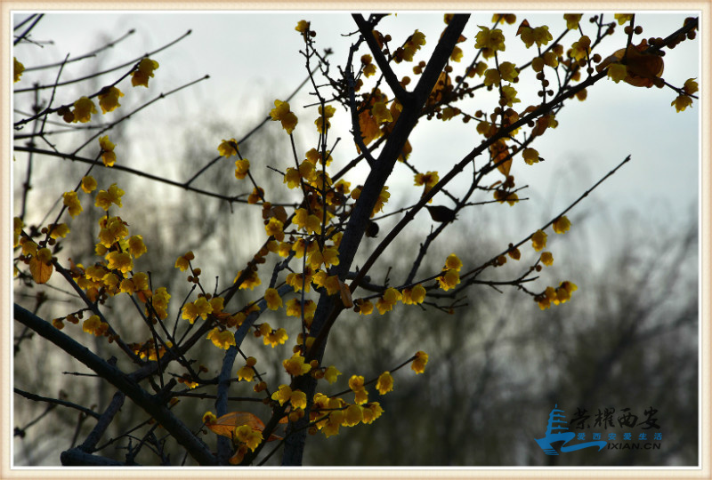 DSC_5417_meitu_14.jpg