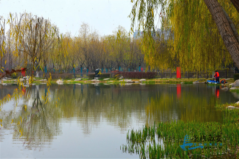 DSC_5203_meitu_39.jpg