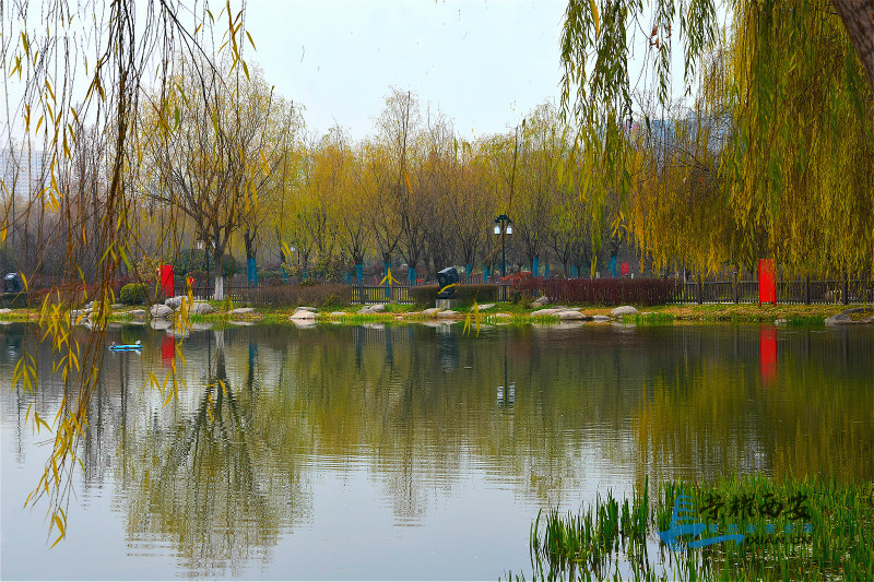 DSC_5204_meitu_40.jpg