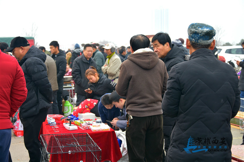 DSC_5661_meitu_69.jpg