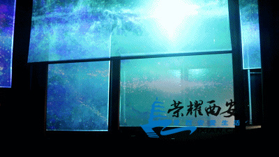 860c7aeb60e24ba384d35337c32a03be.jpg