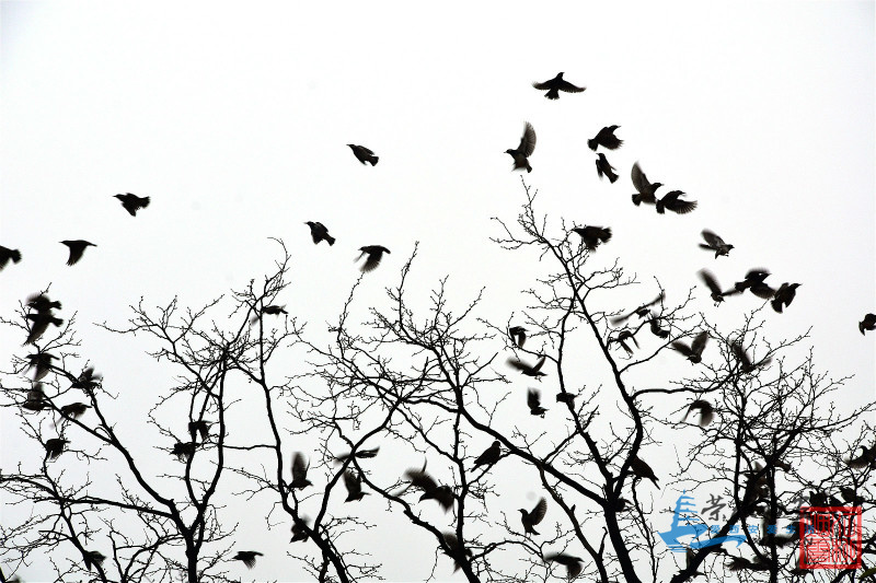 DSC_6216_meitu_12.jpg
