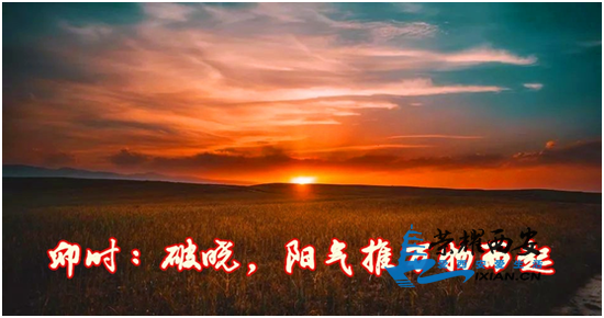9bcc-intiarp6254843.png