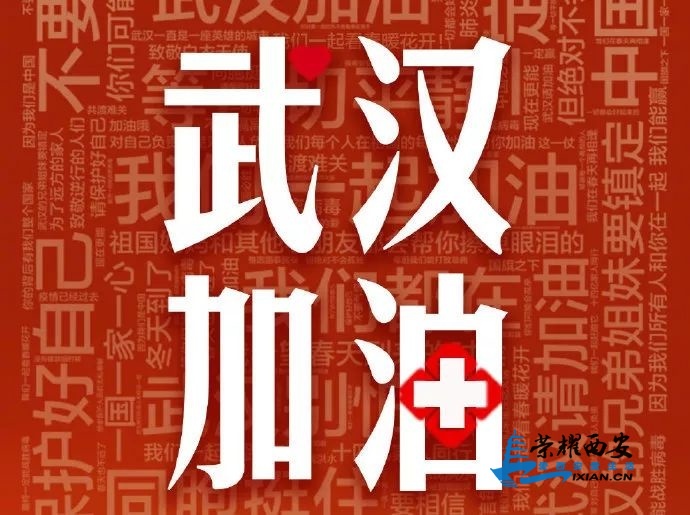 54f6972d-ad98-4ffe-94ba-de7cce3b5d5a.jpg