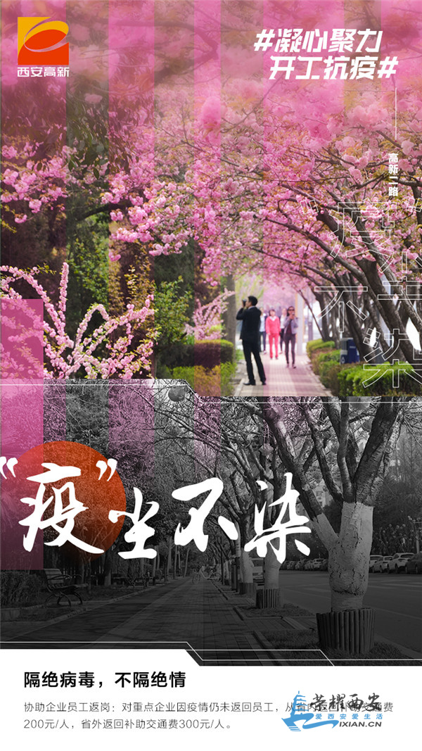 微信图片_202003041034044.jpg