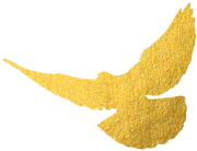 d833c895d143ad4b32d0f08db40b0aa9a50f0694.jpg