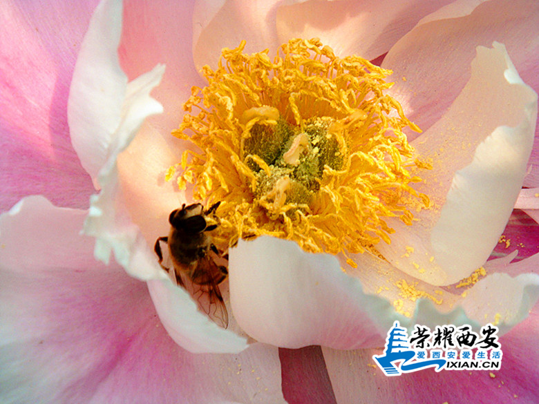 DSC06043_副本.jpg