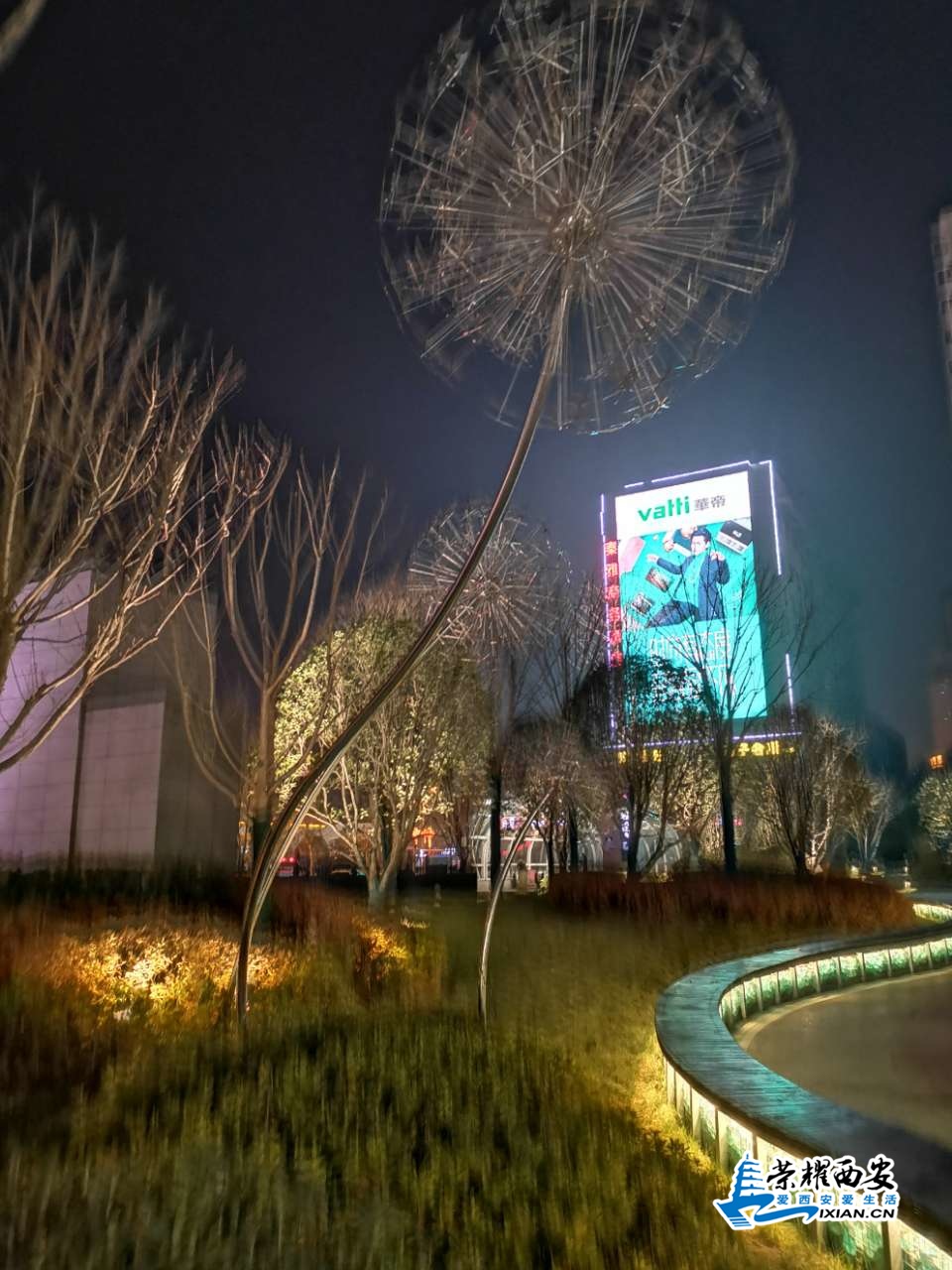 20200319_620038_1584580752673.jpg