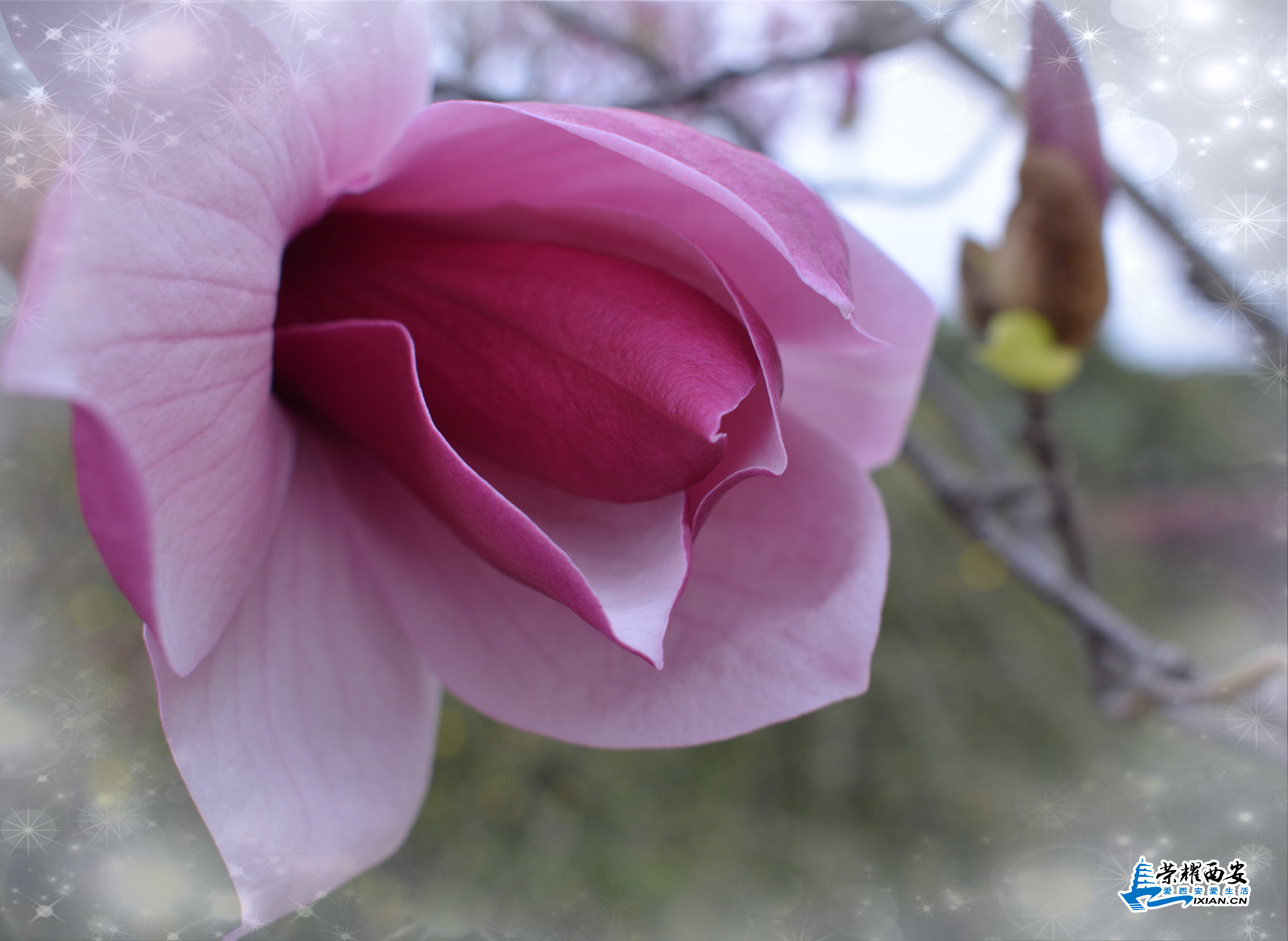 DSC_0152_副本.jpg
