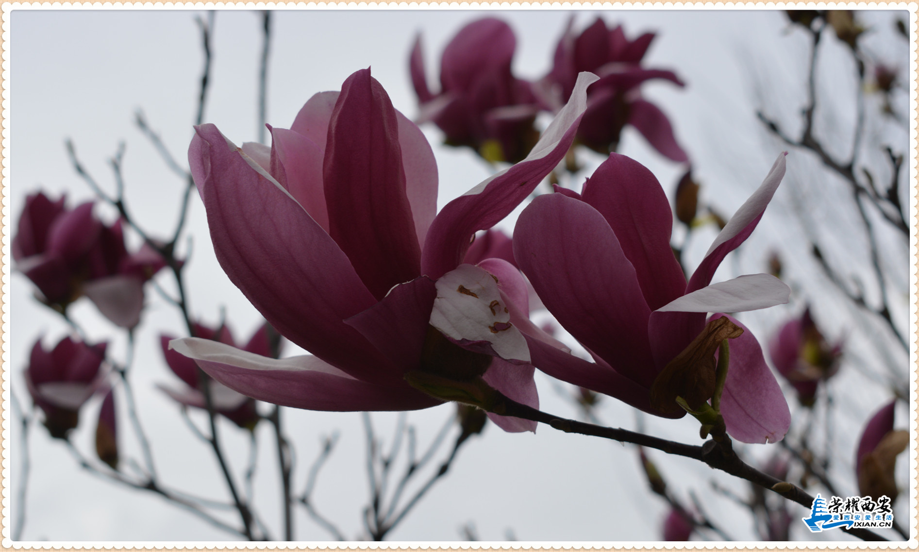DSC_0133_副本.jpg