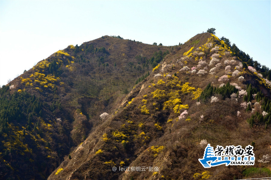 DSC_8866_meitu_59.jpg