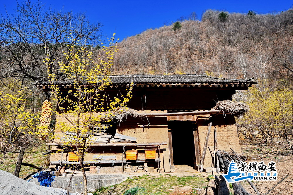 玉兰 严建设44.JPG