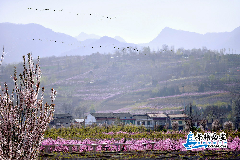 环山路 严建设_004.JPG