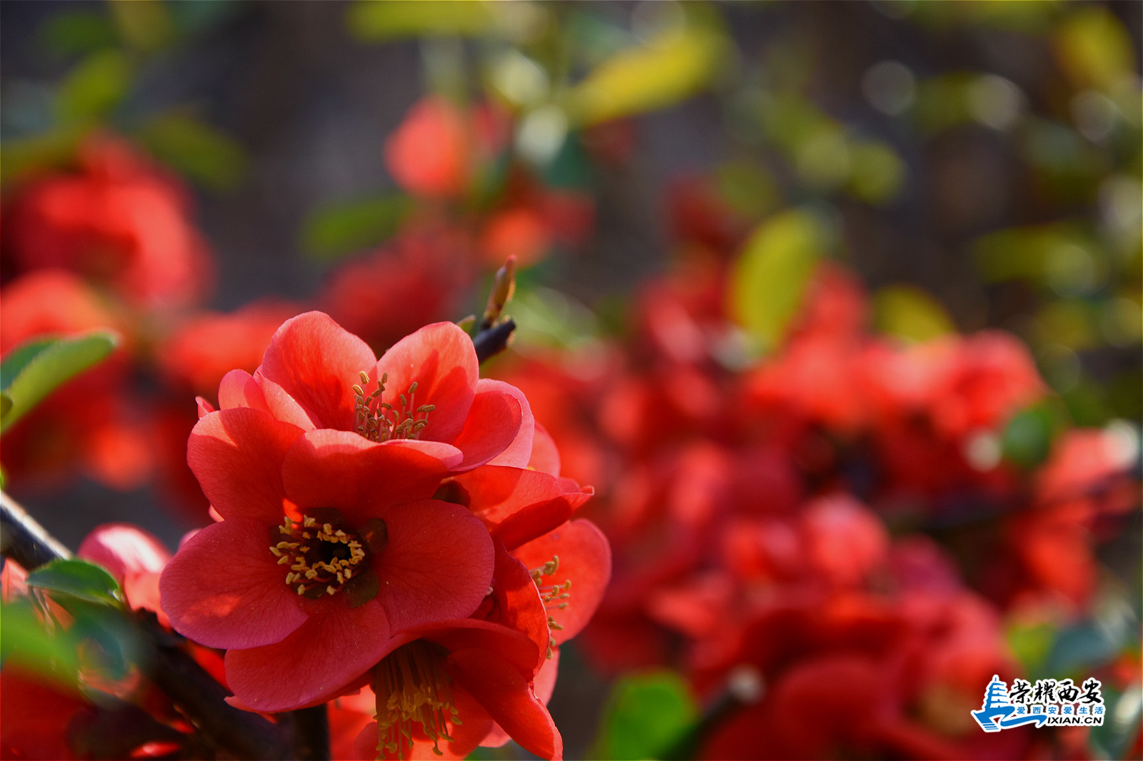 DSC_8895_meitu_25.jpg