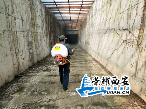 d6q884yy.png