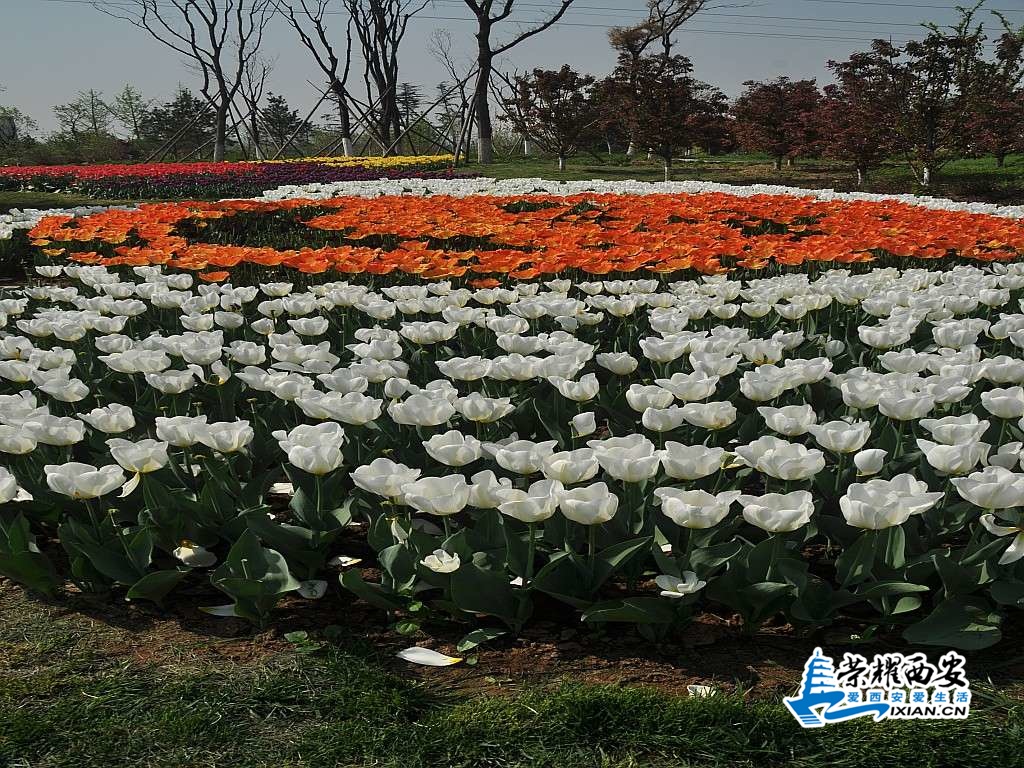 DSC_0139_conew1.jpg