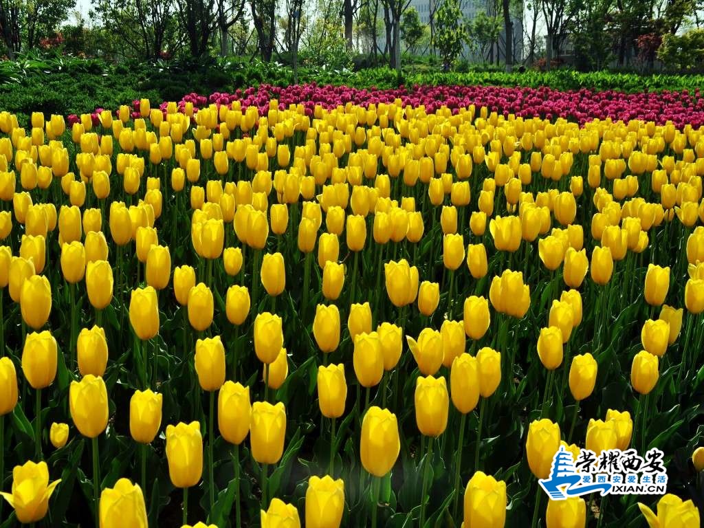 DSC_0027_conew1.jpg