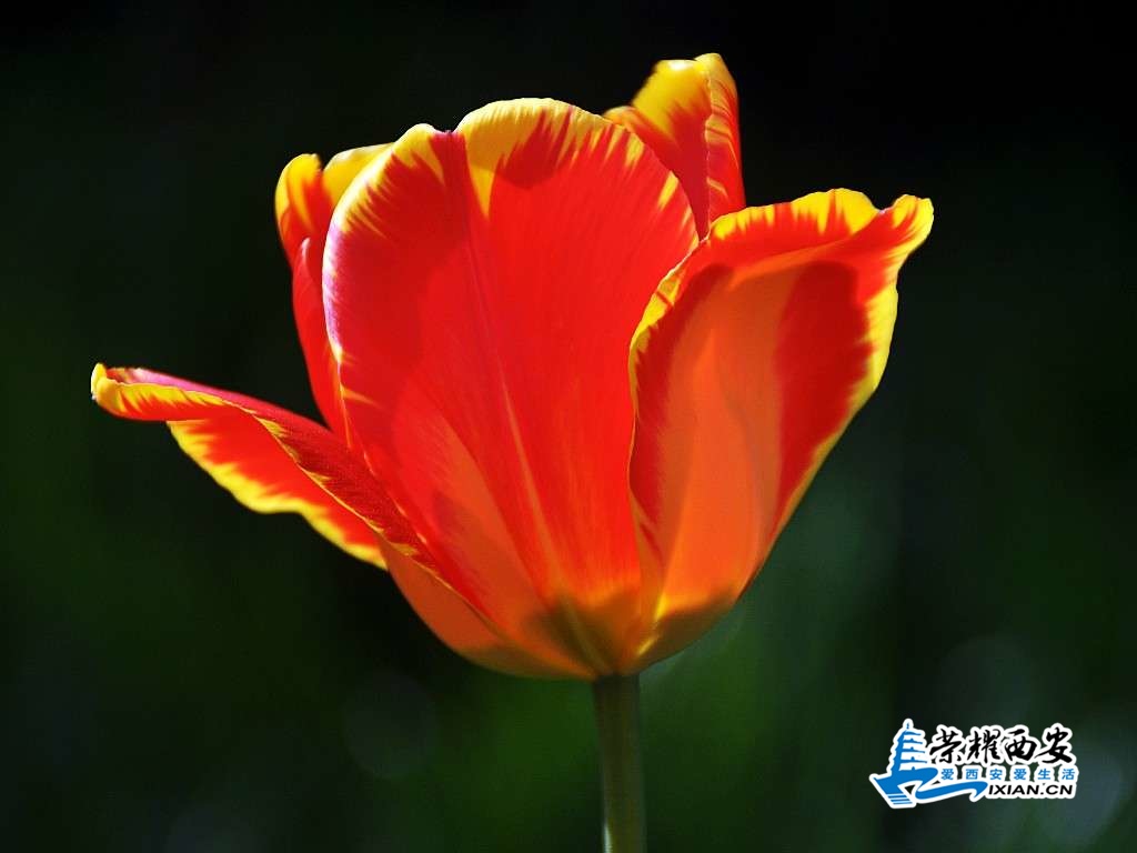 DSC_0054_conew1.jpg
