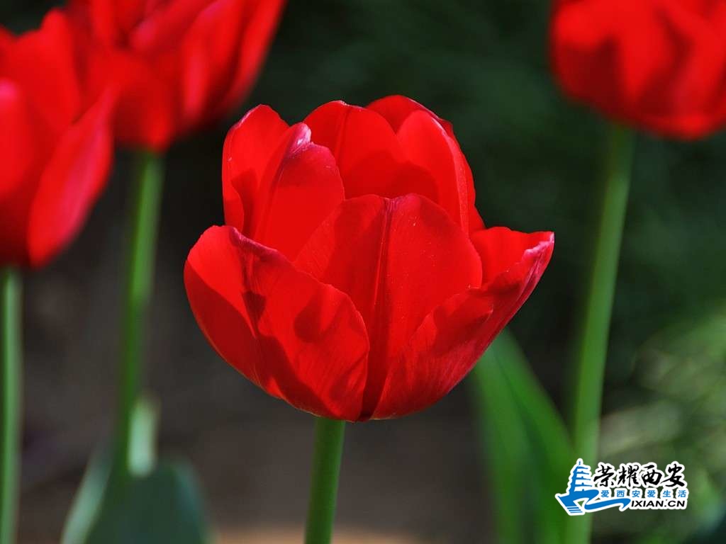 DSC_0039_conew1.jpg