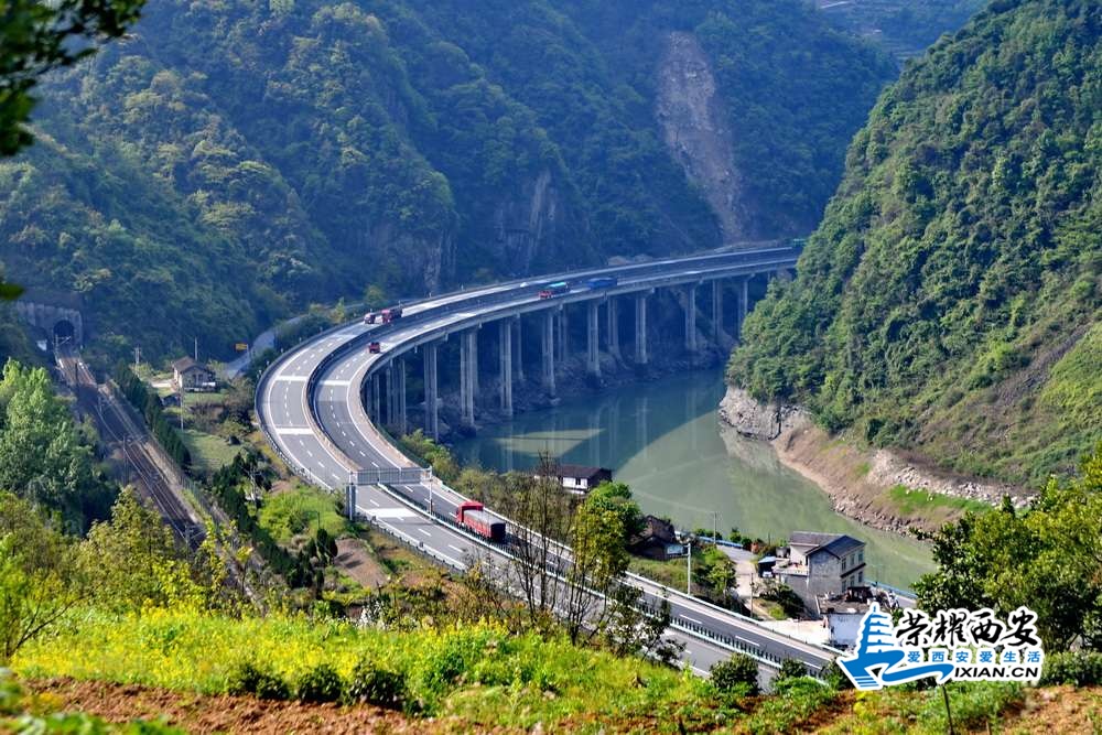 紫阳茶山 严建设4.JPG