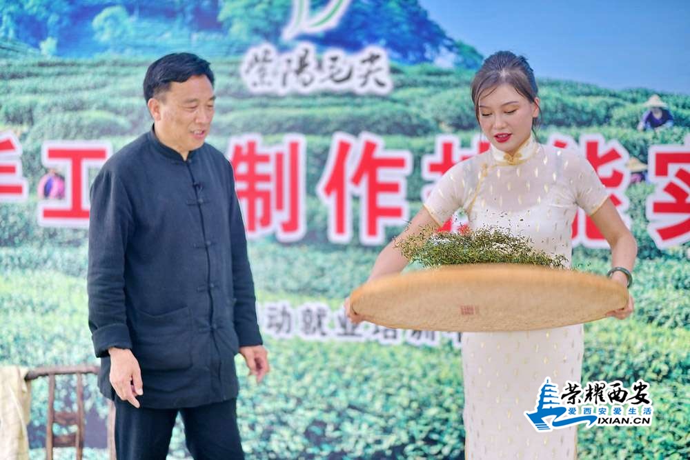 紫阳茶山 严建设47.JPG
