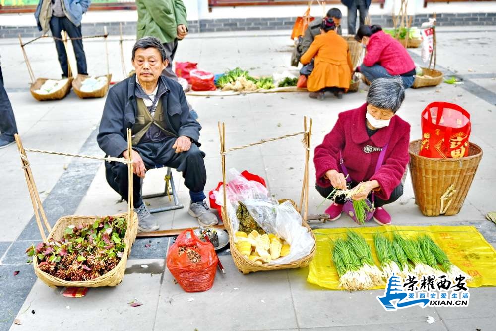 紫阳县 严建设0022.JPG