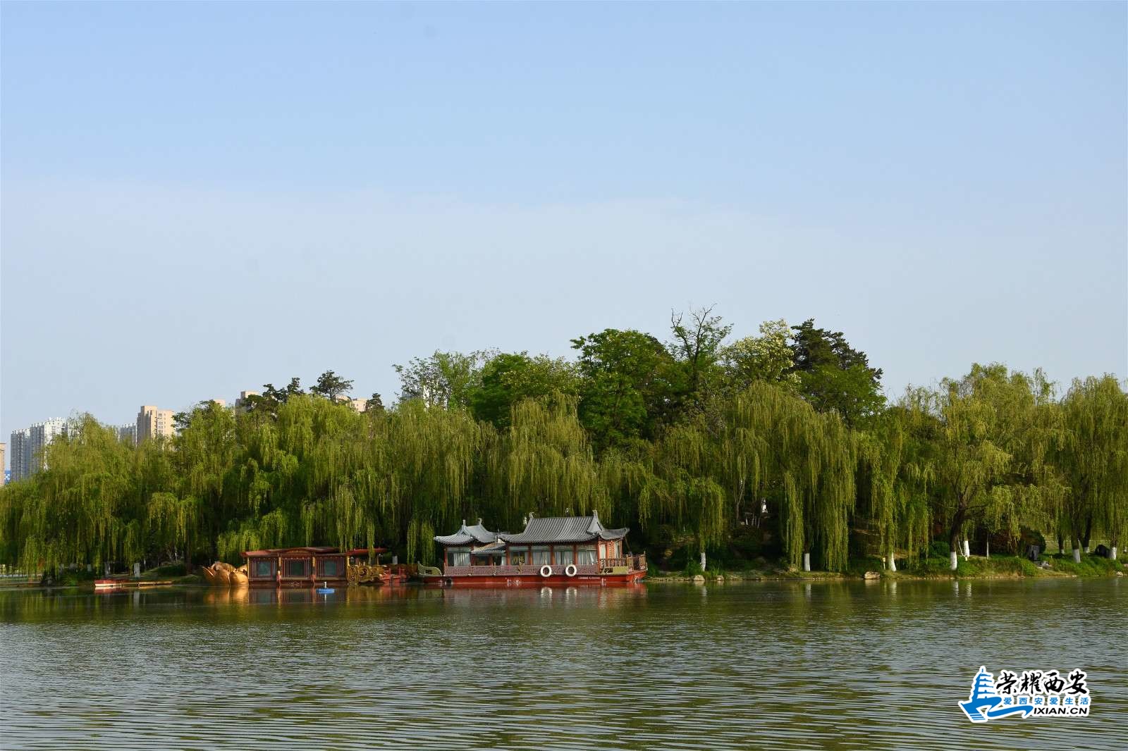 DSC_0639_meitu_1.jpg