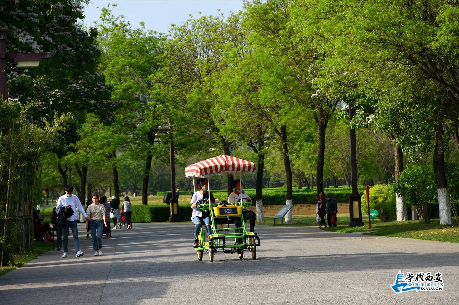 DSC_0649_meitu_9.jpg