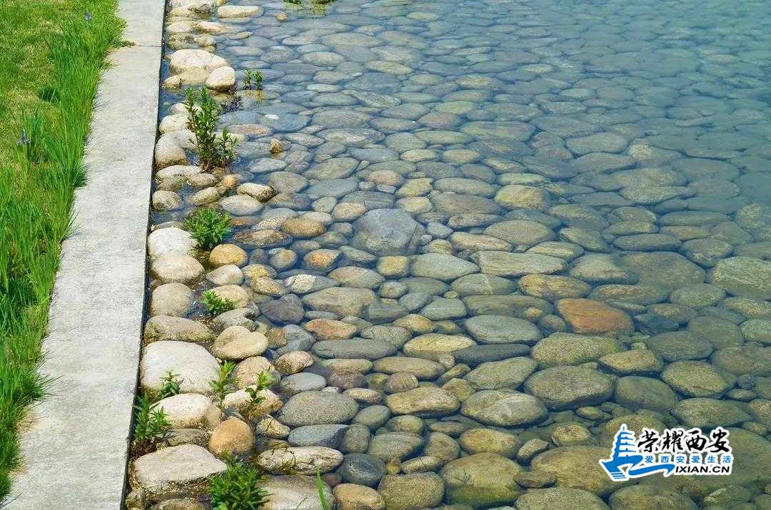 微信图片_20200422103203.jpg