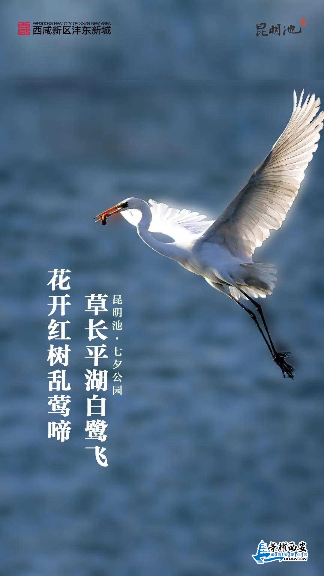 微信图片_20200426092520.jpg