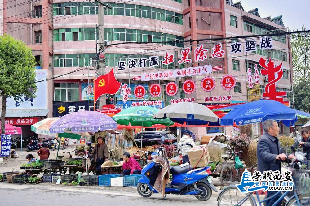 汉中市 严建设0019.JPG