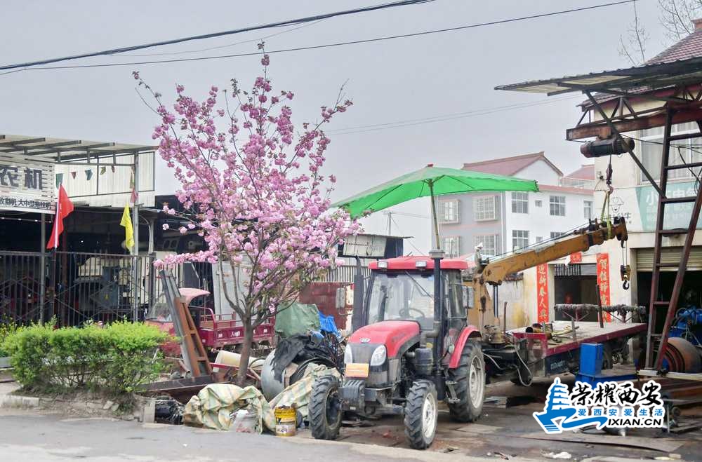 汉中市 严建设0021.JPG