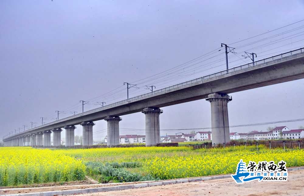 汉中市 严建设0077.JPG