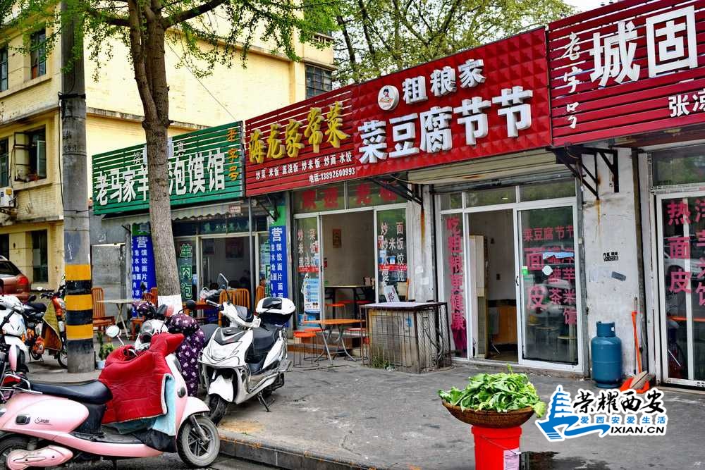 汉中市 严建设0093.JPG