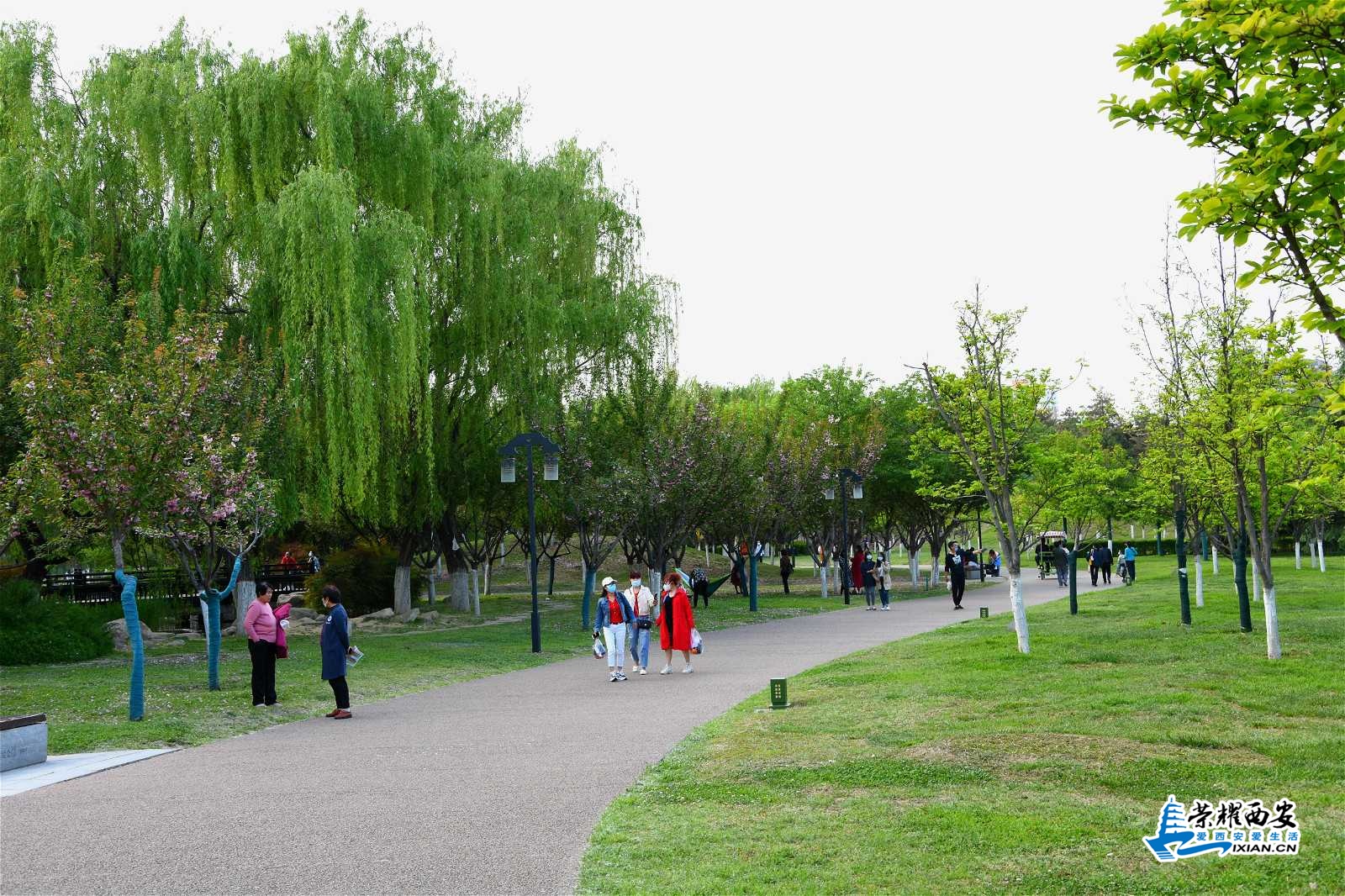 DSC_0728_meitu_4.jpg