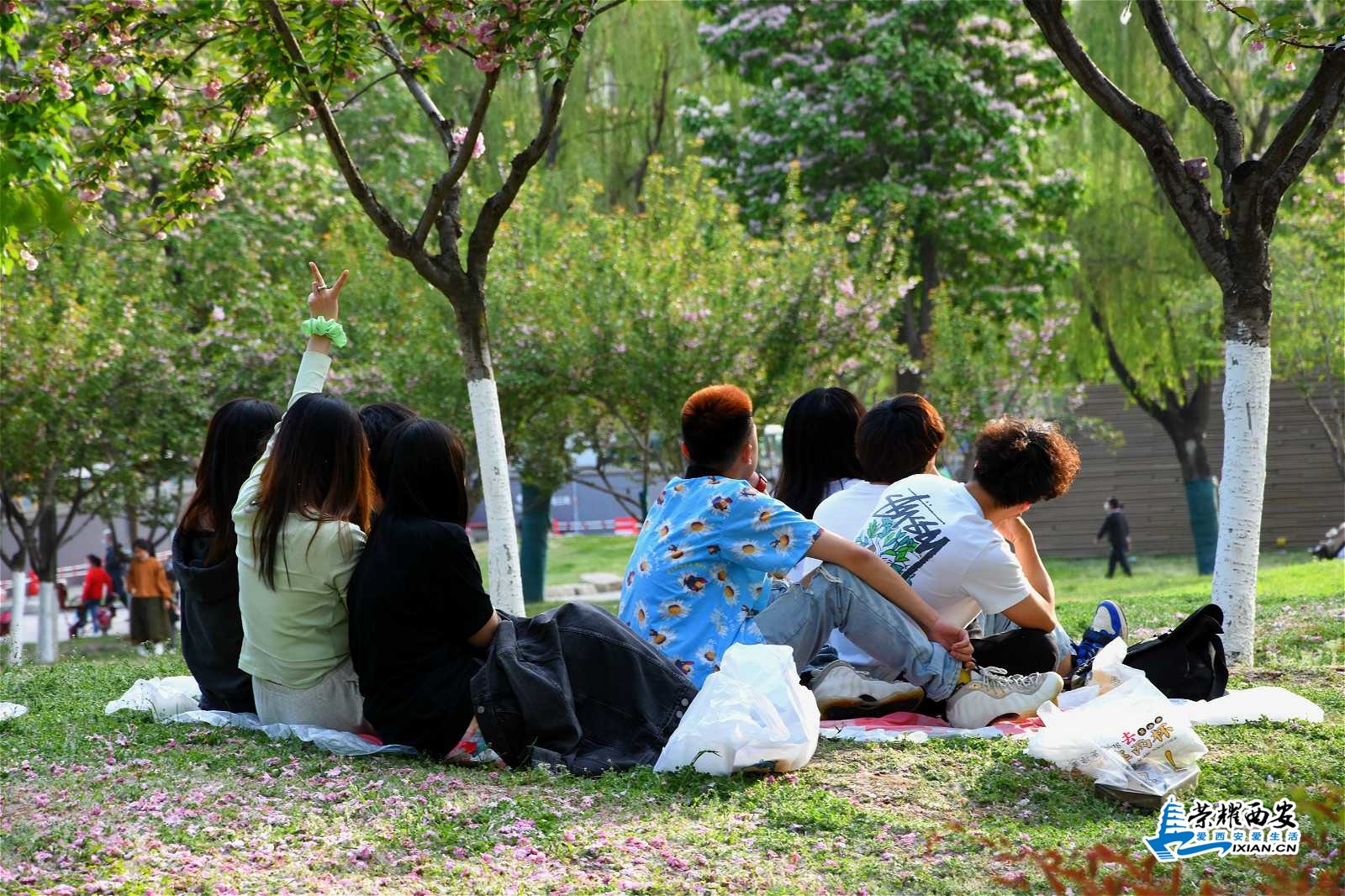 DSC_0792_meitu_43.jpg