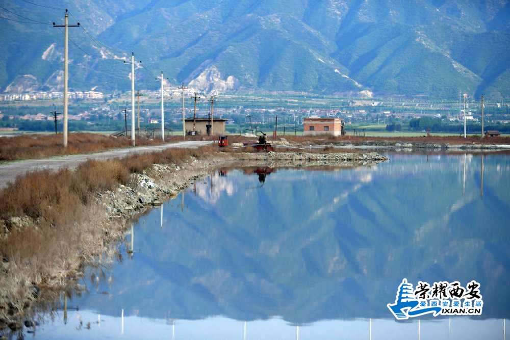 死海盐湖 严建设7.JPG