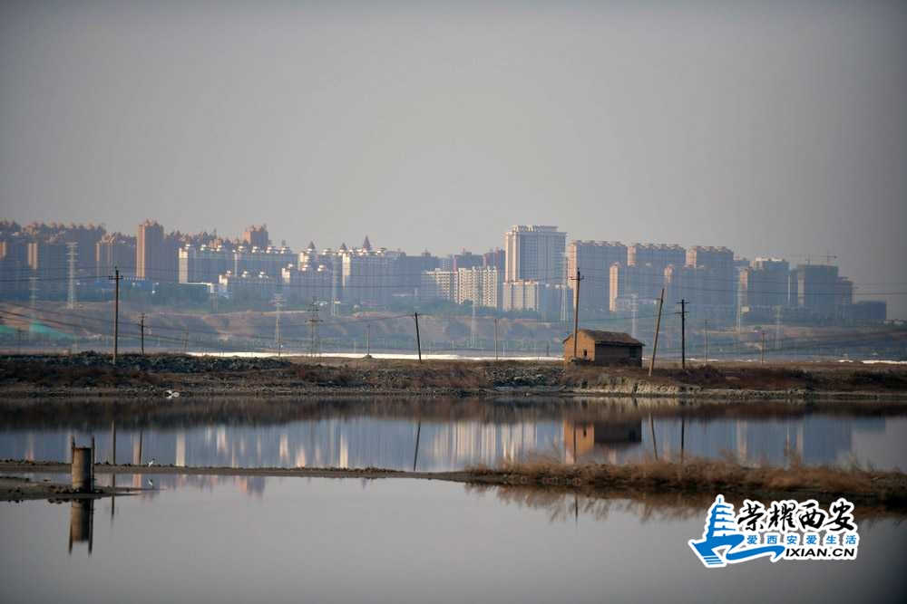 死海盐湖 严建设42.JPG