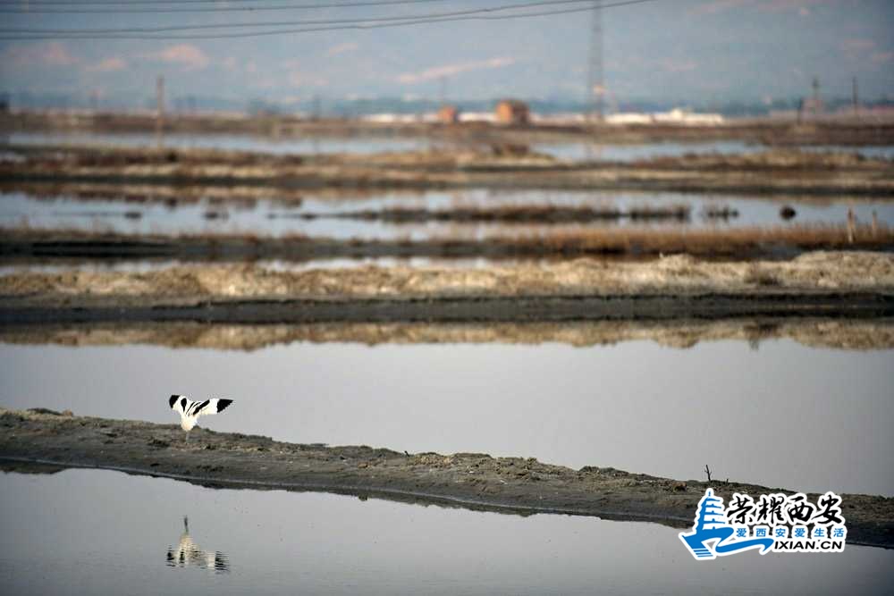 死海盐湖 严建设44.JPG