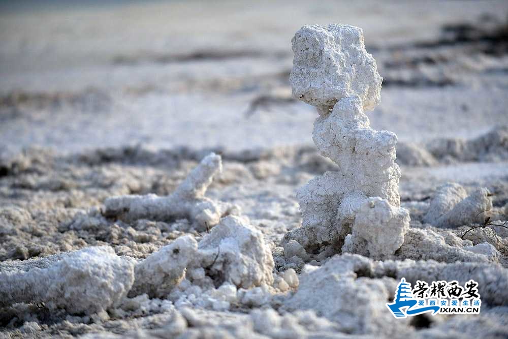 死海盐湖 严建设52.JPG