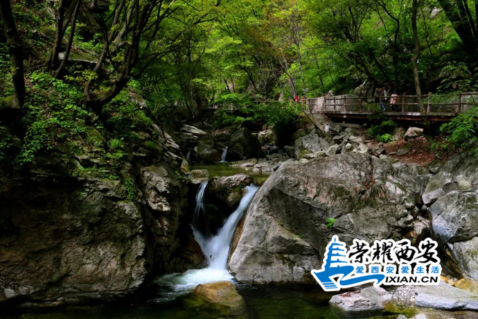 ?url=http%3A%2F%2Fdingyue.ws.126.net%2F2020%2F0504%2F2031228ap00q9sbkc0139c000rs00iim.jpg