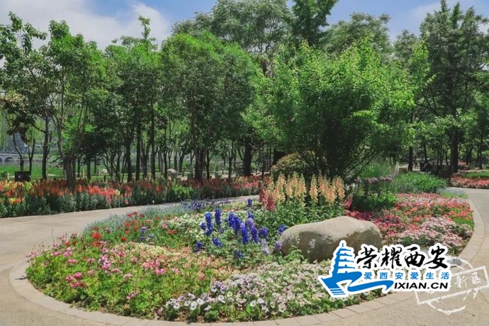 ?url=http%3A%2F%2Fdingyue.ws.126.net%2F2020%2F0504%2F1cd5ac5cj00q9sbm30095c000u000k0m.jpg