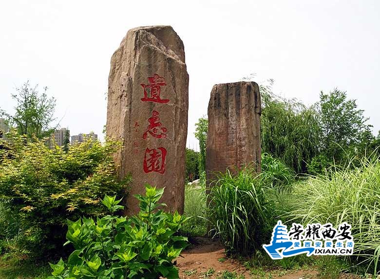 微信图片_20200508190955_副本.jpg