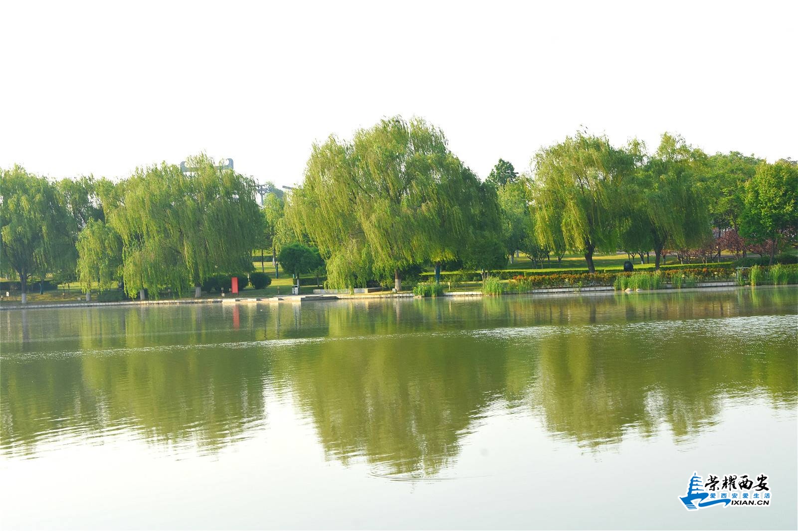 DSC_2362_meitu_5.jpg