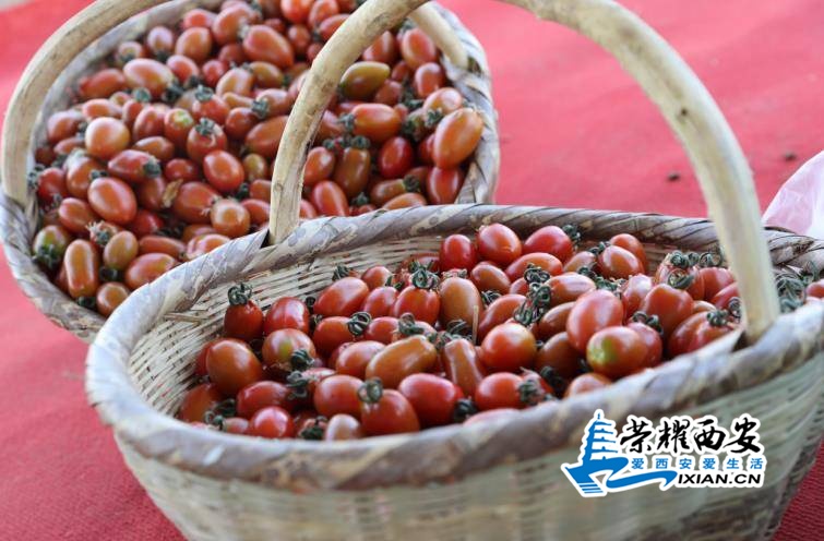 微信截图_20200526092804.jpg