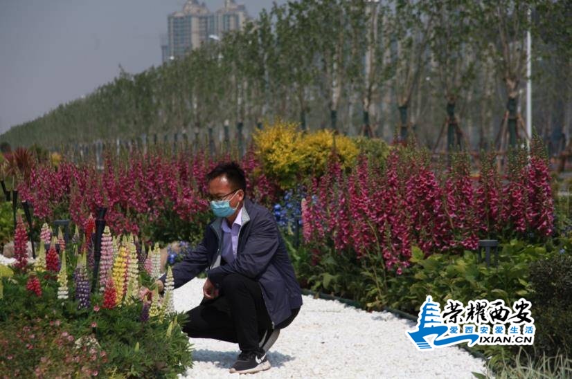 微信截图_20200603150332.jpg