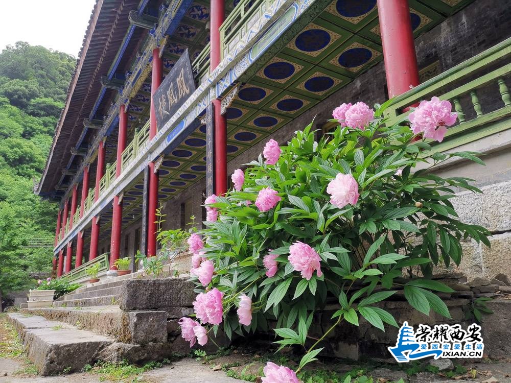 张良山庄 严建设00008.jpg